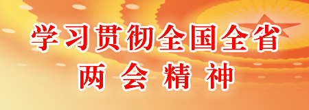 學(xué)習(xí)貫徹全國(guó)全省兩會(huì)精神